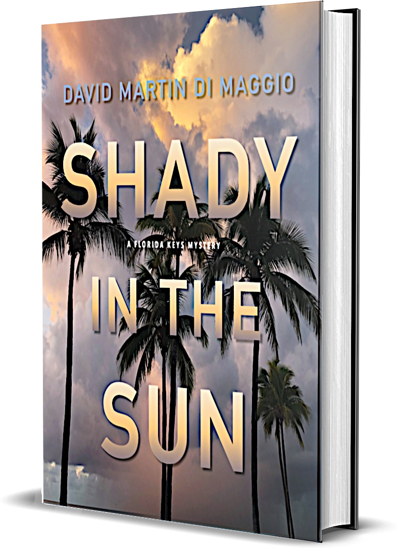Shady in the Sun book cover